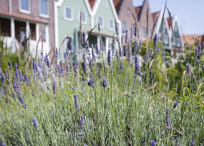 Roompot Hotel Marinapark Volendam